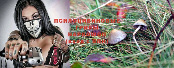 MDMA Новодвинск