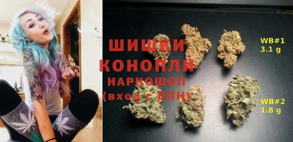 MDMA Новодвинск