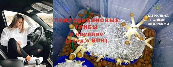 MDMA Новодвинск